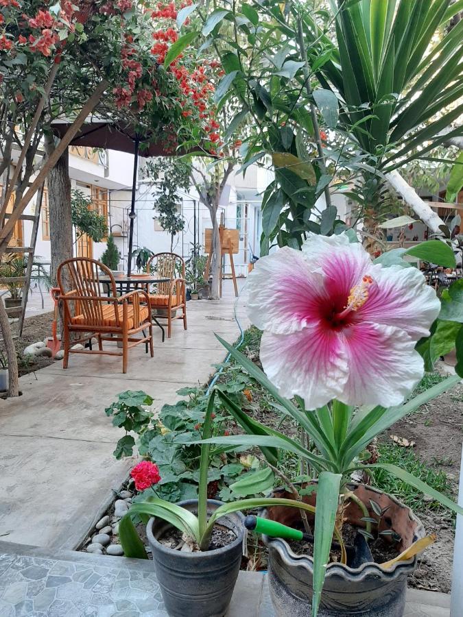 El Huerto Hostel Ика Екстериор снимка